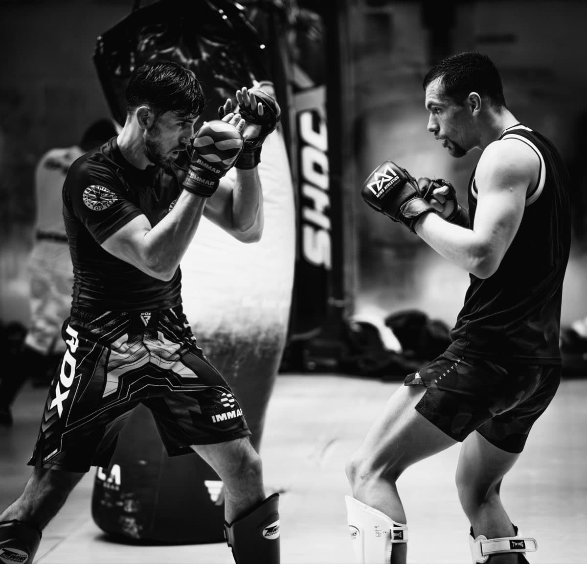 Sparring boxe
